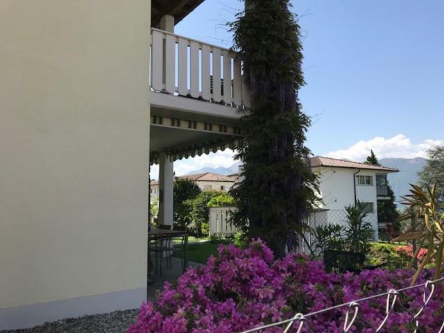 Willa Casa Al Castagno Gambarogno Zewnętrze zdjęcie